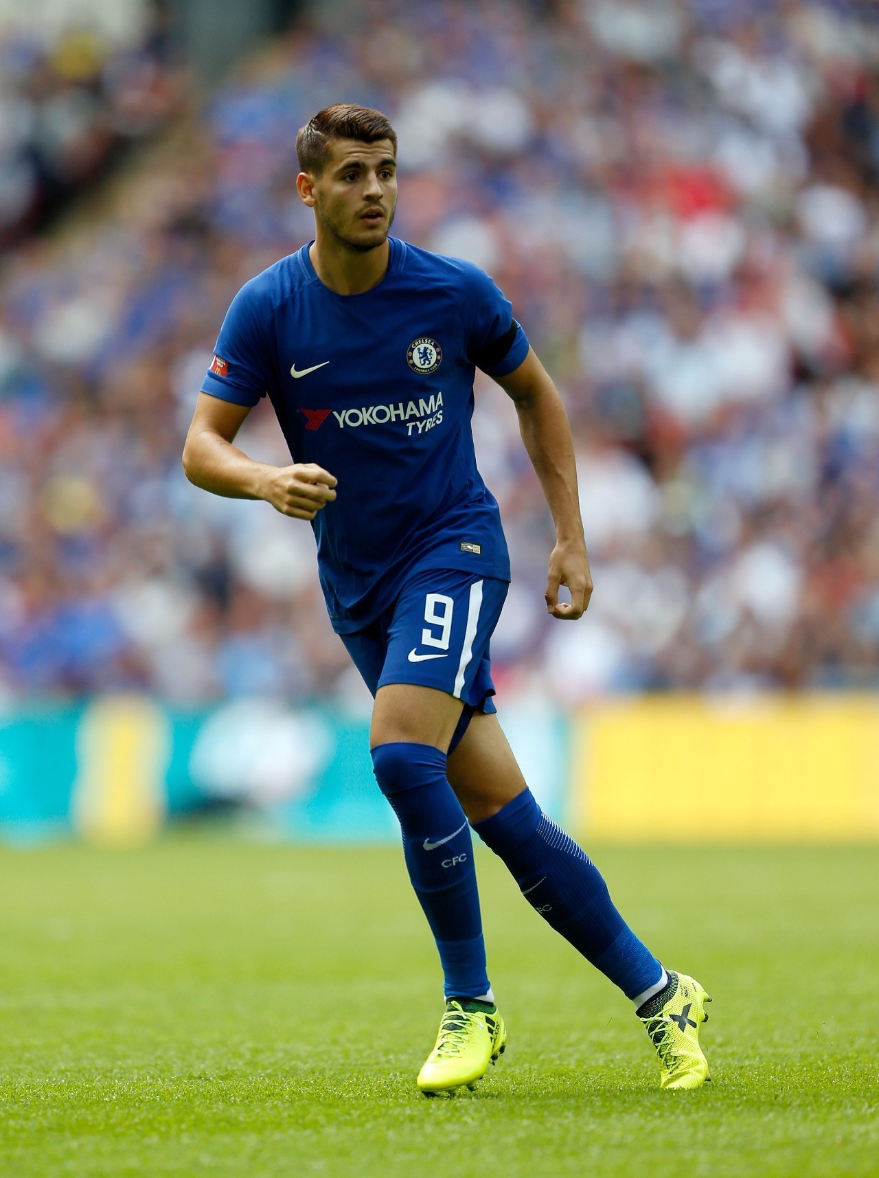 天之宝铁皮石斛包装设计